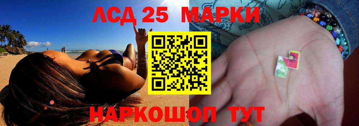 Кингисепп  LSD-25 экстази кислота  Вход с VPN  Лсд 25 экстази кислота 