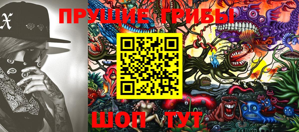 дарнет шоп  Галлюциногенные грибы GOLDEN TEACHER  Вход с VPN  Псилоцибиновые грибы GOLDEN TEACHER  Кингисепп 
