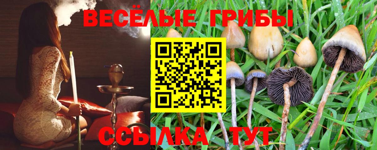 ГАШИШ  Кингисепп  Вход с VPN  Cocaine  НБОМе  МЕФ  Гашиш  Каннабис  Мефедрон кристаллы  A PVP СК  