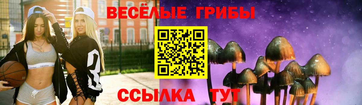 Галлюциногенные грибы Magic Shrooms Кингисепп